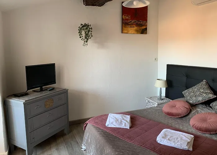 Vue Imprenable Cite - 4 Personnes * Carcassonne